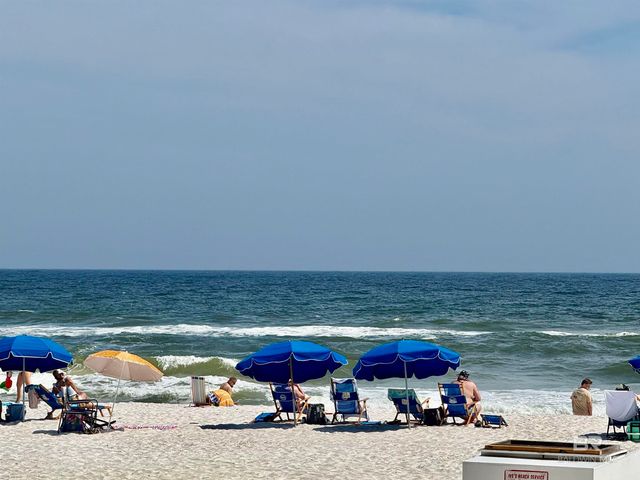 24400 Perdido Beach Boulevard 001, Orange Beach, AL 36561