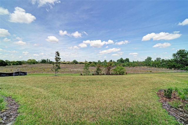 9699 SURREY ROSE DRIVE, San Antonio, FL 33576