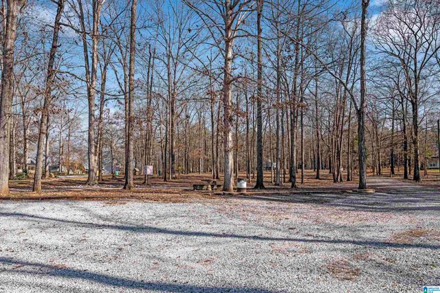 340 BILLINGSLEY DRIVE, Sylacauga, AL 35151