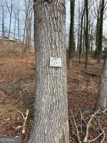 4551 Shoreline Drive, Gainesville, GA 30506