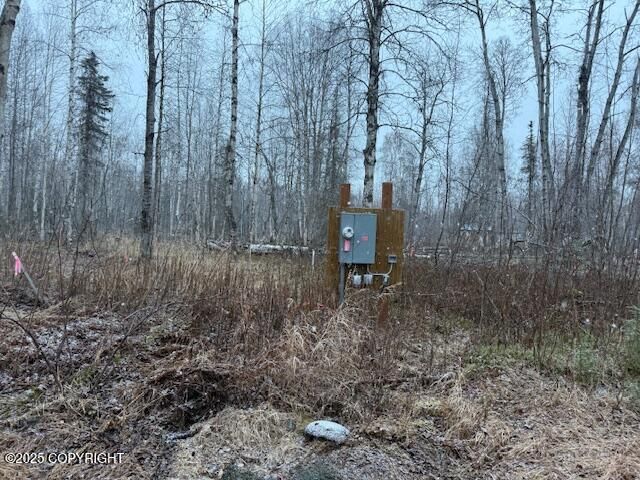 49364 S Bendapole Road, Willow, AK 99688