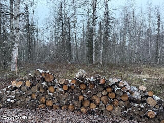 49364 S Bendapole Road, Willow, AK 99688