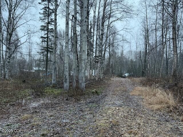 49364 S Bendapole Road, Willow, AK 99688