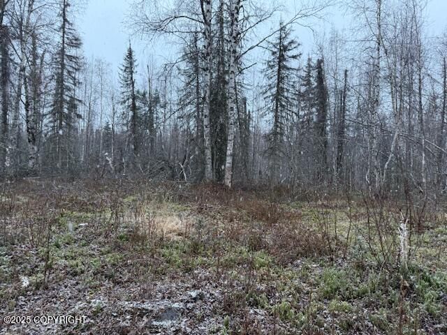 49364 S Bendapole Road, Willow, AK 99688