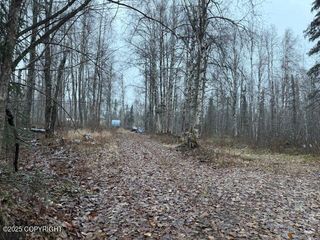 49364 S Bendapole Road, Willow, AK 99688