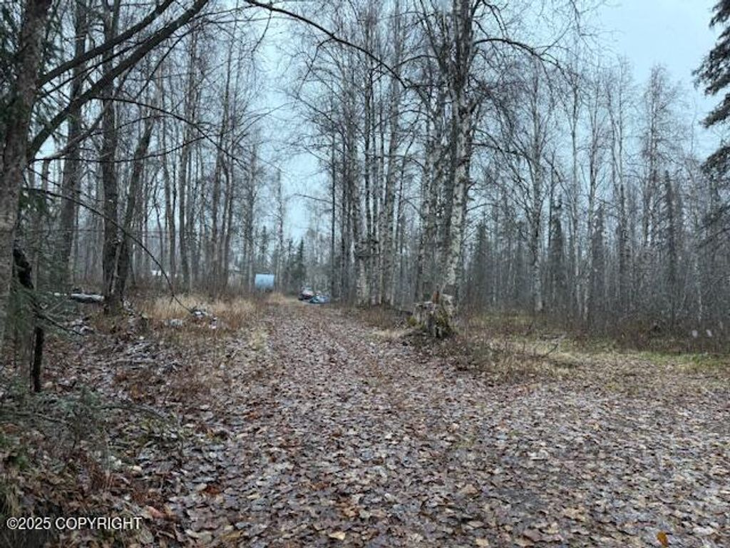 49364 S Bendapole Road, Willow, AK 99688