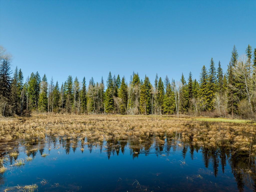 675 Beaver Lake Road, Whitefish, MT 59937 photo 100