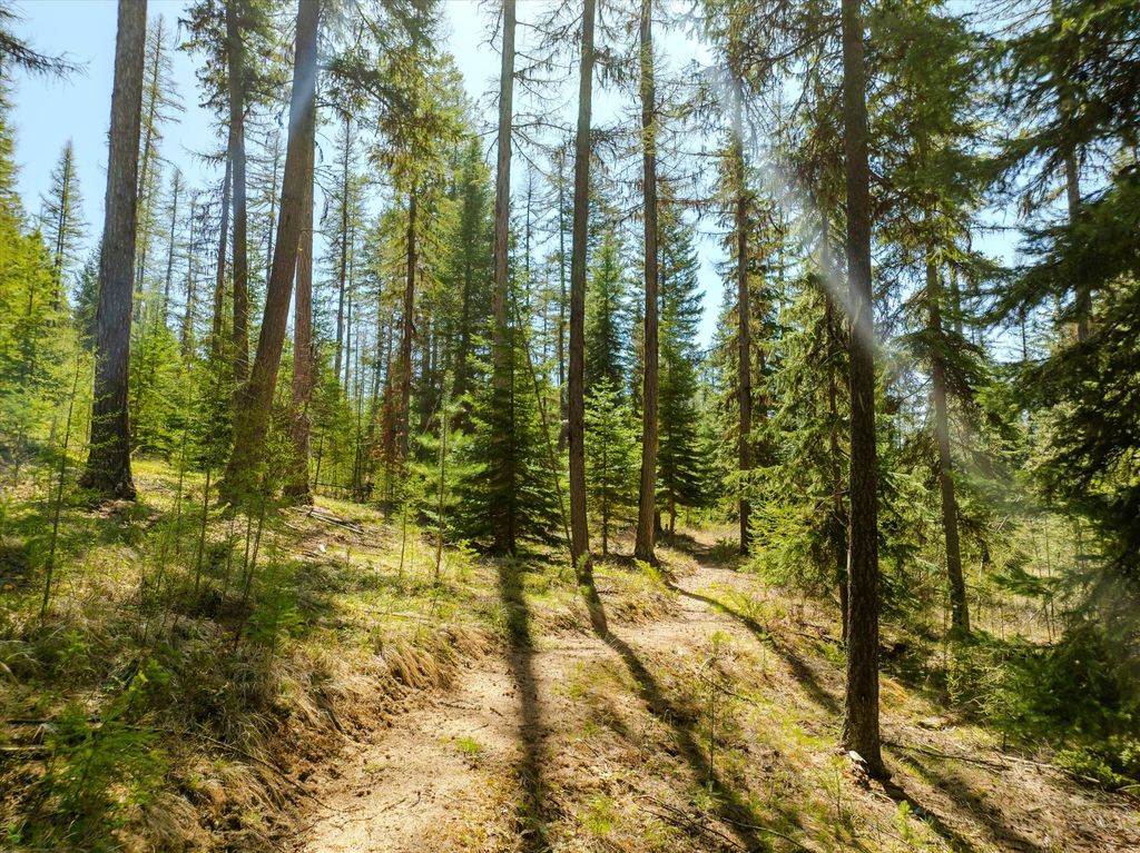 675 Beaver Lake Road, Whitefish, MT 59937 photo 104