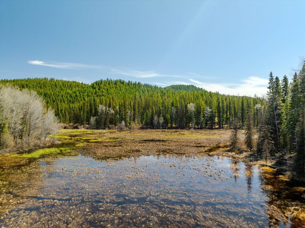 675 Beaver Lake Road, Whitefish, MT 59937 photo 108