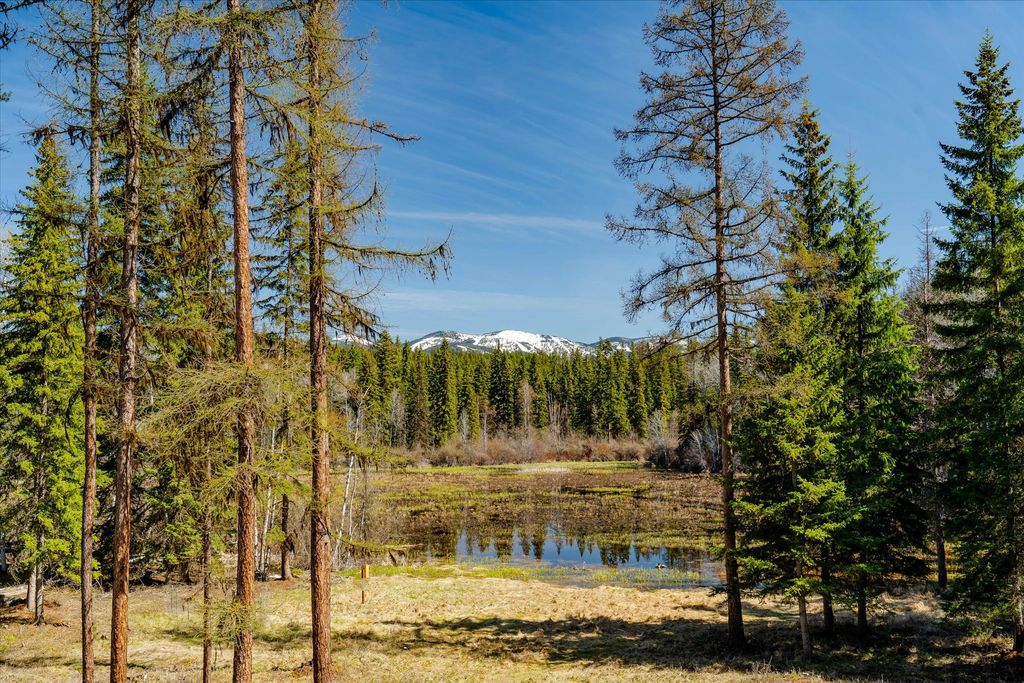 675 Beaver Lake Road, Whitefish, MT 59937 photo 3