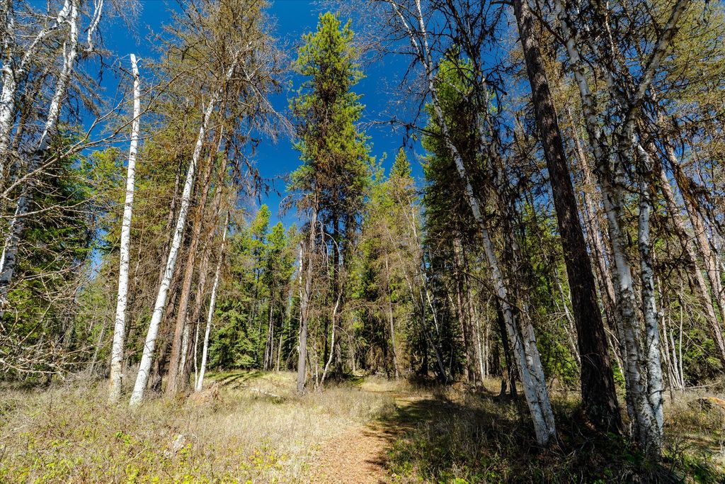 675 Beaver Lake Road, Whitefish, MT 59937 photo 80