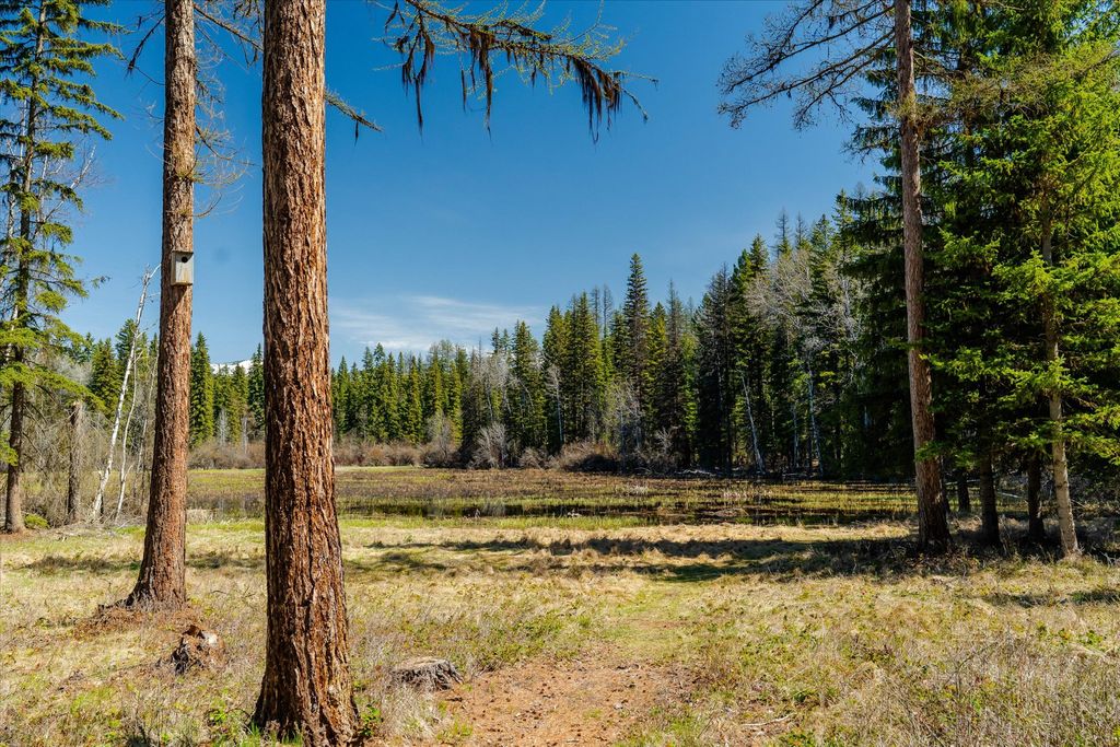 675 Beaver Lake Road, Whitefish, MT 59937 photo 82