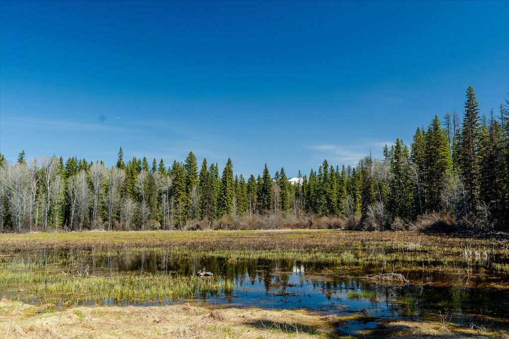 675 Beaver Lake Road, Whitefish, MT 59937 photo 85