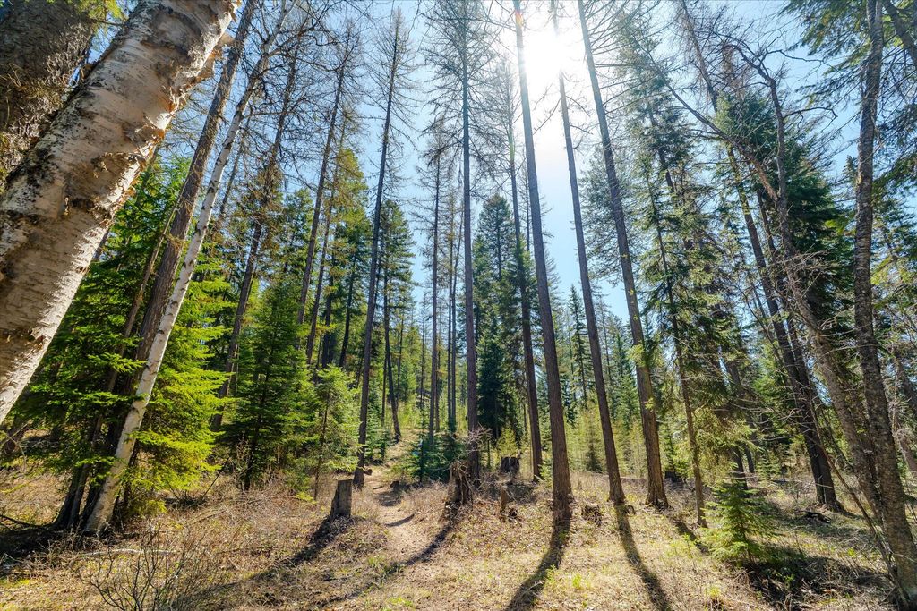 675 Beaver Lake Road, Whitefish, MT 59937 photo 88