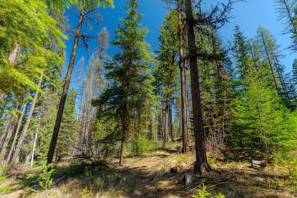 675 Beaver Lake Road, Whitefish, MT 59937 photo 90