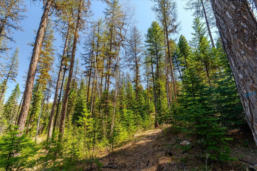 675 Beaver Lake Road, Whitefish, MT 59937 photo 92