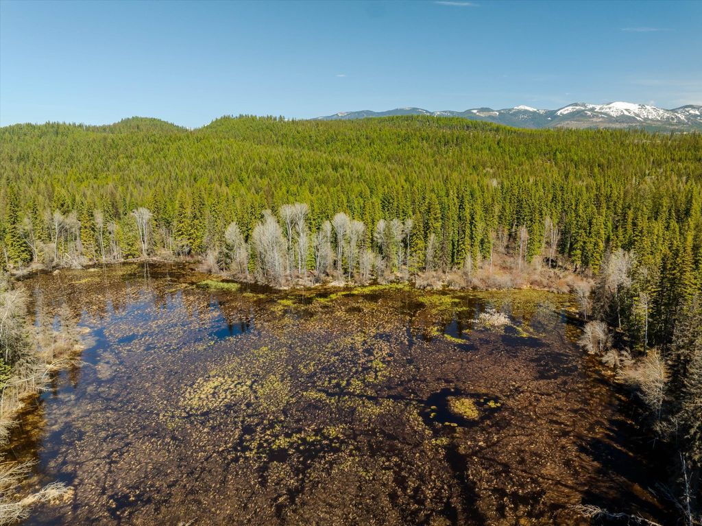 675 Beaver Lake Road, Whitefish, MT 59937 photo 94