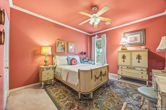 17202 Blanco Oaks, San Antonio, TX 78248