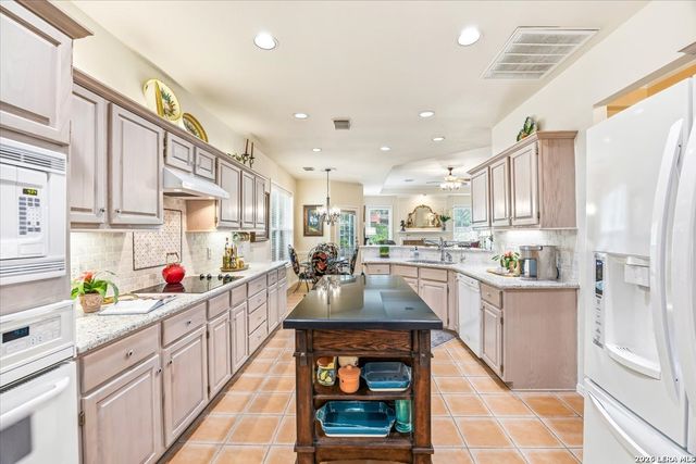 17202 Blanco Oaks, San Antonio, TX 78248