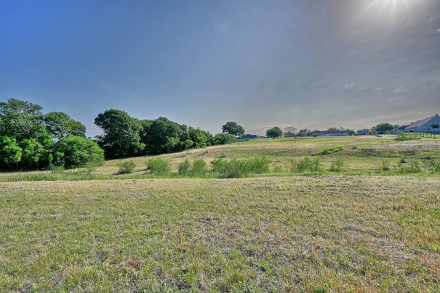 2917 Twisted Oak Drive, Brenham, TX 77833