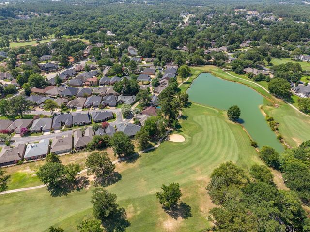 1431 Hollytree Pl, Tyler, TX 75703