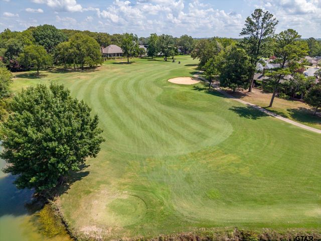 1431 Hollytree Pl, Tyler, TX 75703