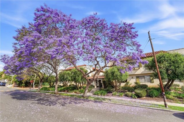 800 Termino Avenue 5, Long Beach, CA 90804