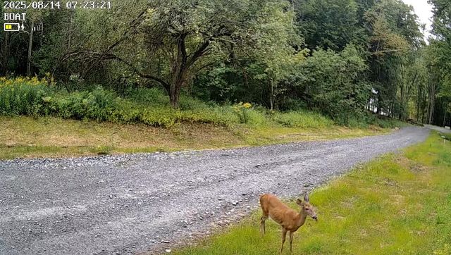 9768 VT Route 36, Fairfield, VT 05455