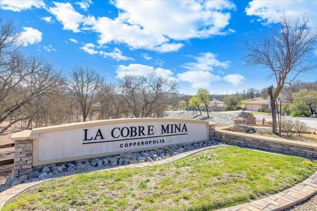 133 Palisades Pl, Copperopolis, CA 95228