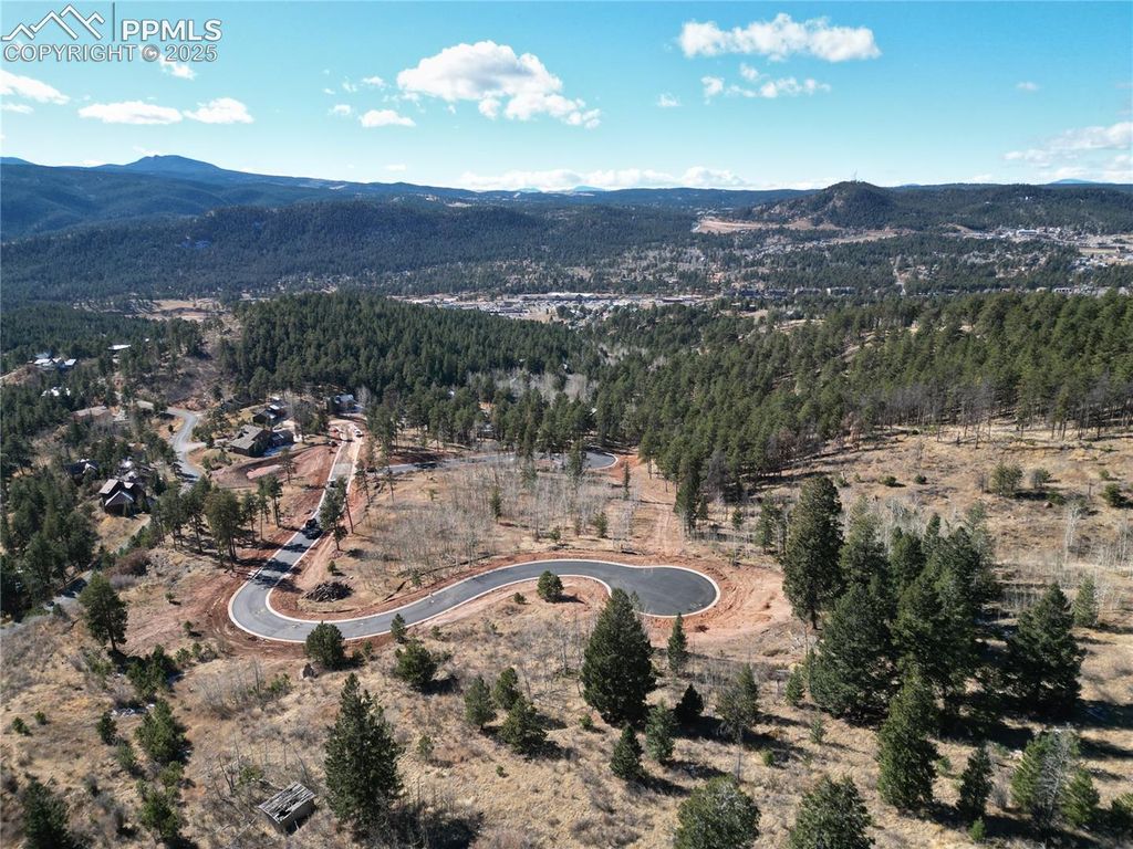 1420 Red Haven Place, Woodland Park, CO 80863 — photo 3
