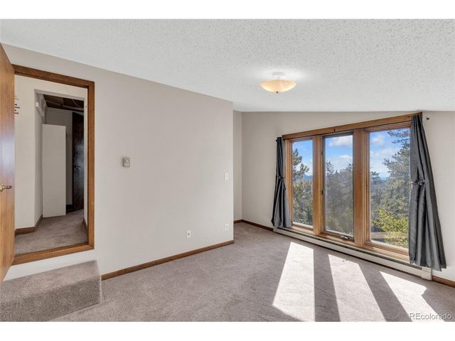 10197 Horizon View Dr, Morrison, CO 80465