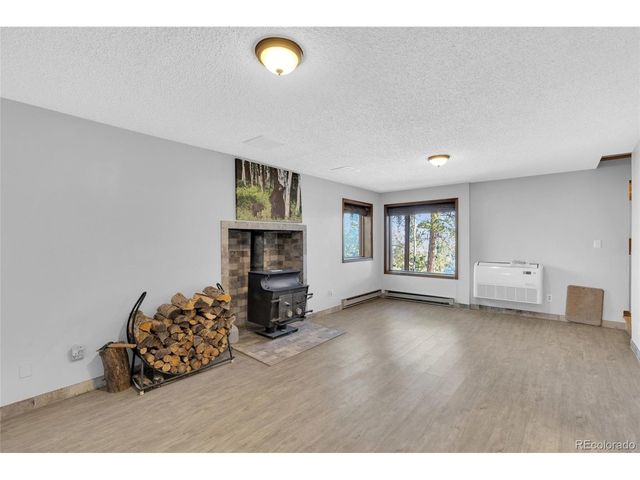 10197 Horizon View Dr, Morrison, CO 80465