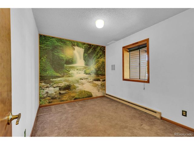 10197 Horizon View Dr, Morrison, CO 80465