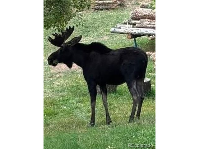 10197 Horizon View Dr, Morrison, CO 80465