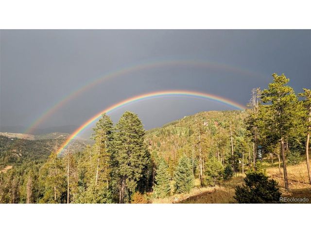 10197 Horizon View Dr, Morrison, CO 80465