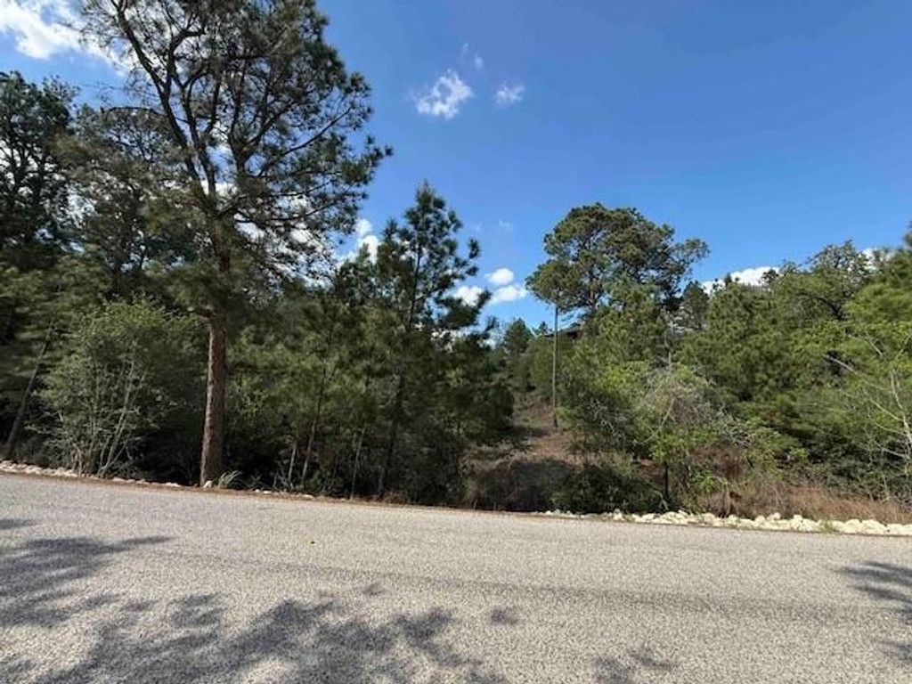 TBD TBD, Bastrop, TX 78602