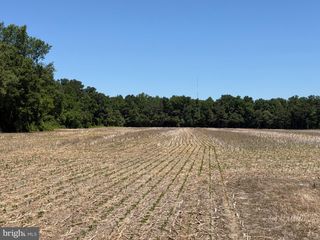 29199 CORDREY RD, Millsboro, DE 19966