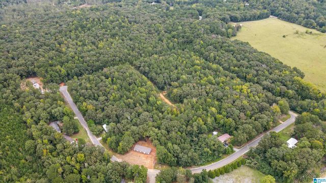 442 DAVIS STREET, Wilsonville, AL 35186