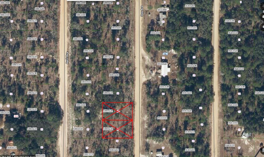 GUY, Interlachen, FL 32148