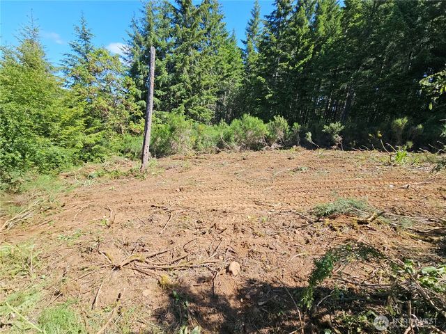 400 xxx Southridge Drive, Belfair, WA 98528