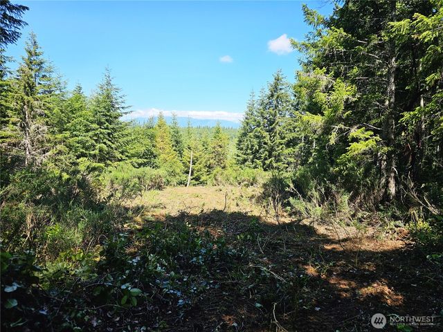 400 xxx Southridge Drive, Belfair, WA 98528