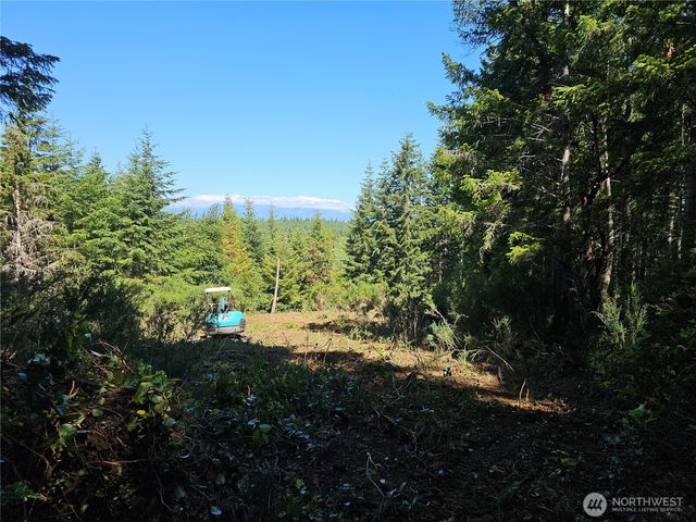 400 xxx Southridge Drive, Belfair, WA 98528