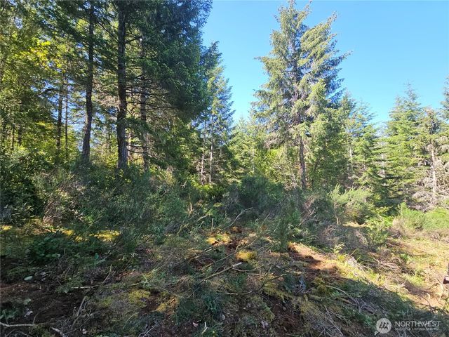400 xxx Southridge Drive, Belfair, WA 98528