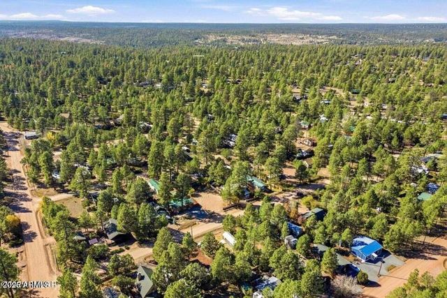 2880 PAINT PONY Lane, Overgaard, AZ 85933