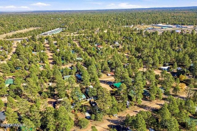 2880 PAINT PONY Lane, Overgaard, AZ 85933