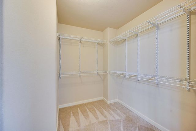 1517 Waxberry LN, Austin, TX 78748