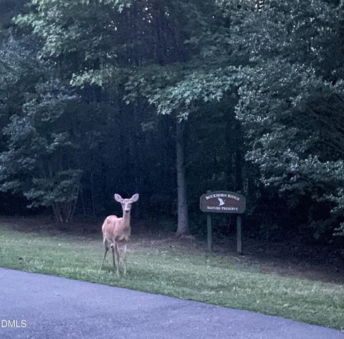 325 Buckhorn Ridge Road, Mebane, NC 27302