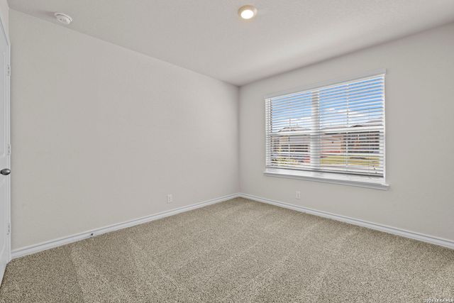 192 Squacco Heron, San Antonio, TX 78253