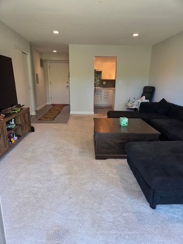 5100 CARRIAGEWAY Drive 109, Rolling Meadows, IL 60008