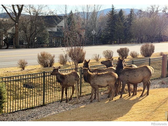 5602 Red Thunder Court, Loveland, CO 80537